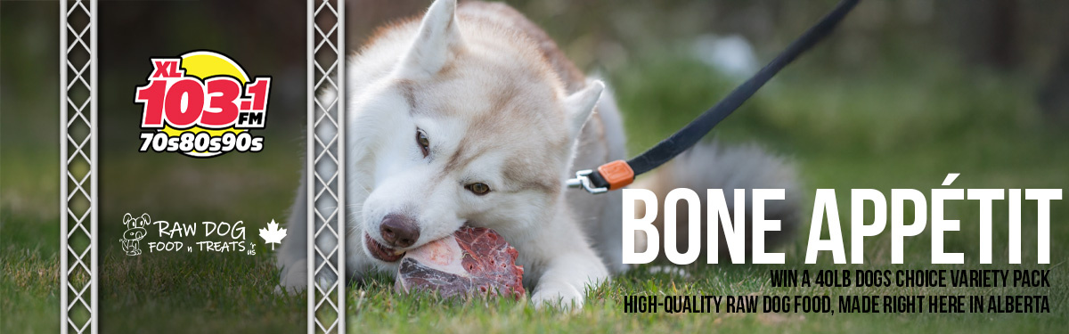 Bone Appetit!