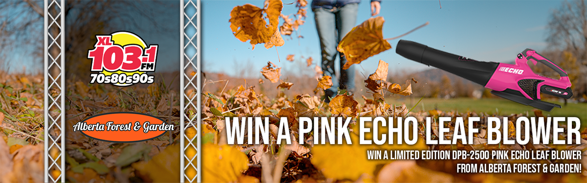 Win a Limited Edition DPB-2500 Pink ECHO Leaf Blower!